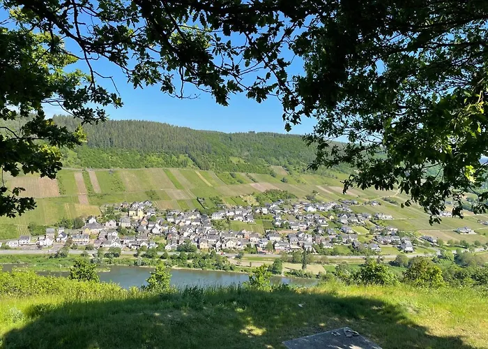 Metzen Apartman Burg (Bernkastel-Wittlich)